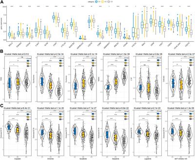 Macrophage-related molecular subtypes in lung adenocarcinoma identify novel tumor microenvironment with prognostic and therapeutic implications